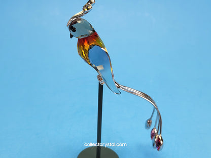 PARADISE BIRDS – OBJECT BANAMBA FIRE OPAL 284064 / 275570