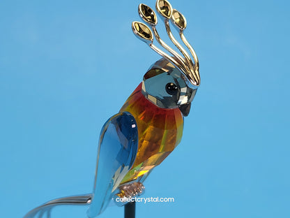 PARADISE BIRDS – OBJECT BANAMBA FIRE OPAL 284064 / 275570