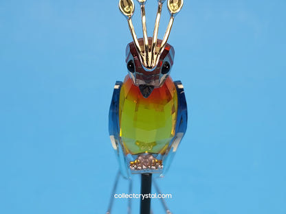 PARADISE BIRDS – OBJECT BANAMBA FIRE OPAL 284064 / 275570