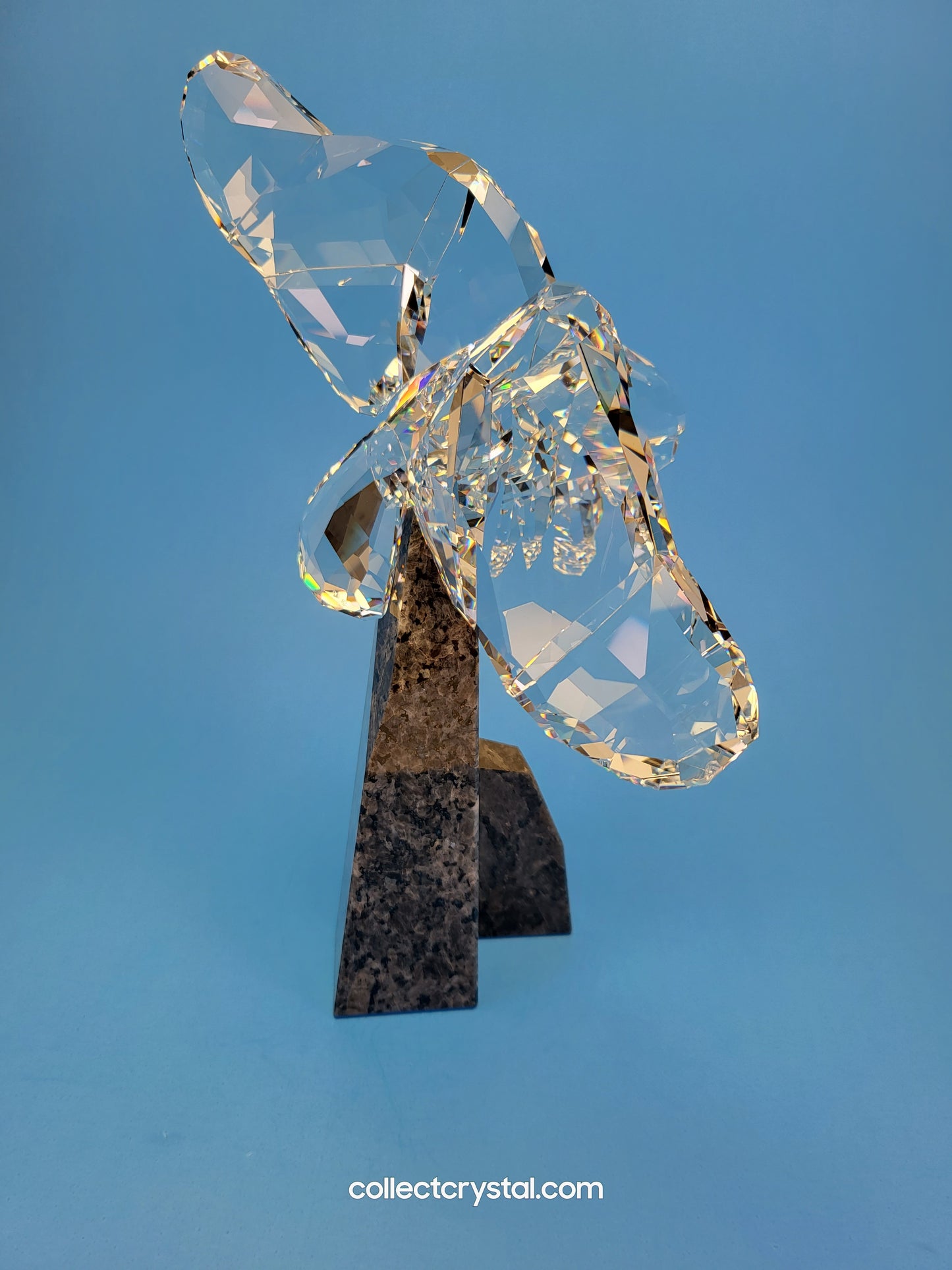 Eagle on Granite Base Soulmate Figurine 874456