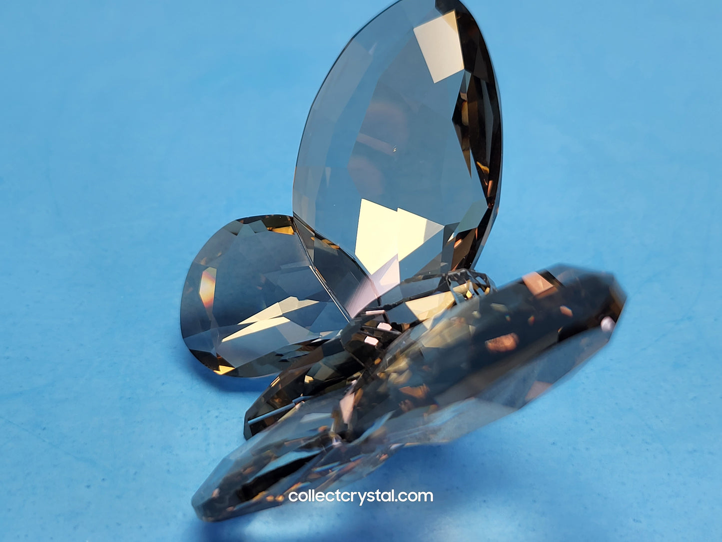 Butterfly SWAROVSKI SATIN Smoke Paradise Large Figurine 952727