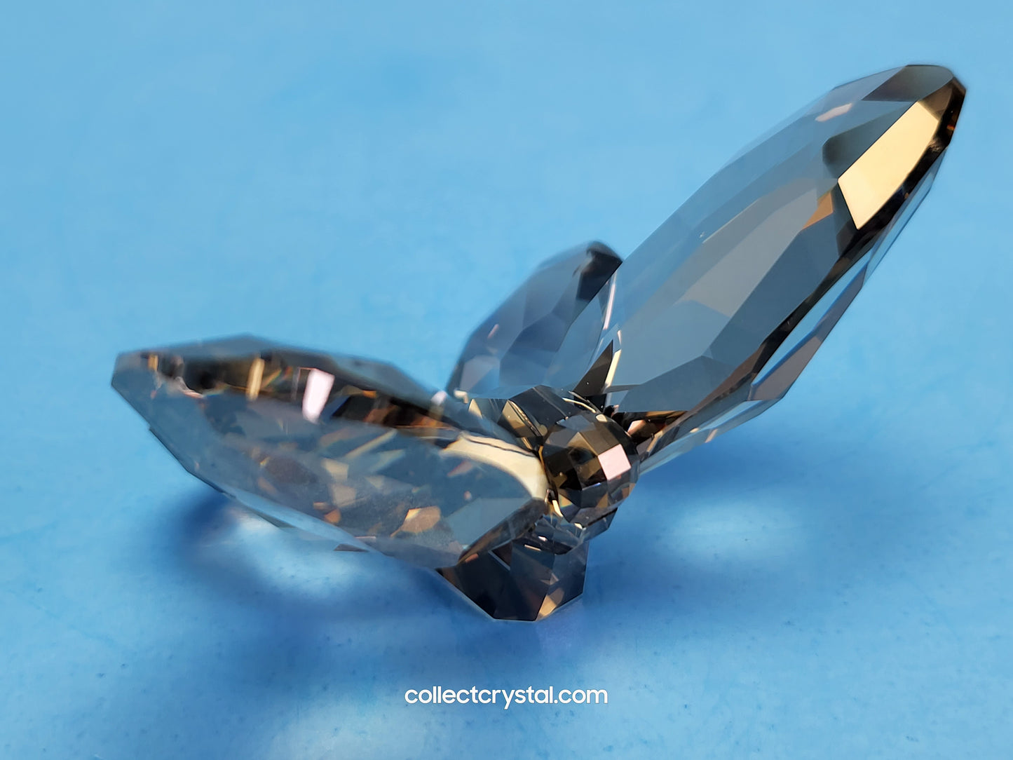 Butterfly SWAROVSKI SATIN Smoke Paradise Large Figurine 952727