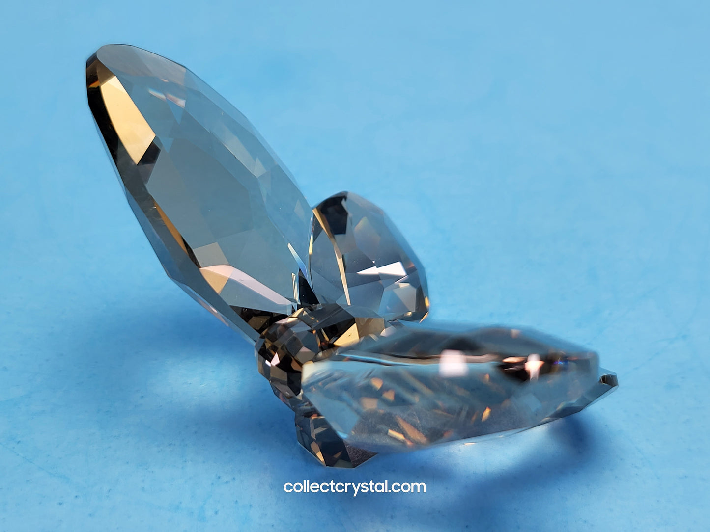 Butterfly SWAROVSKI SATIN Smoke Paradise Large Figurine 952727