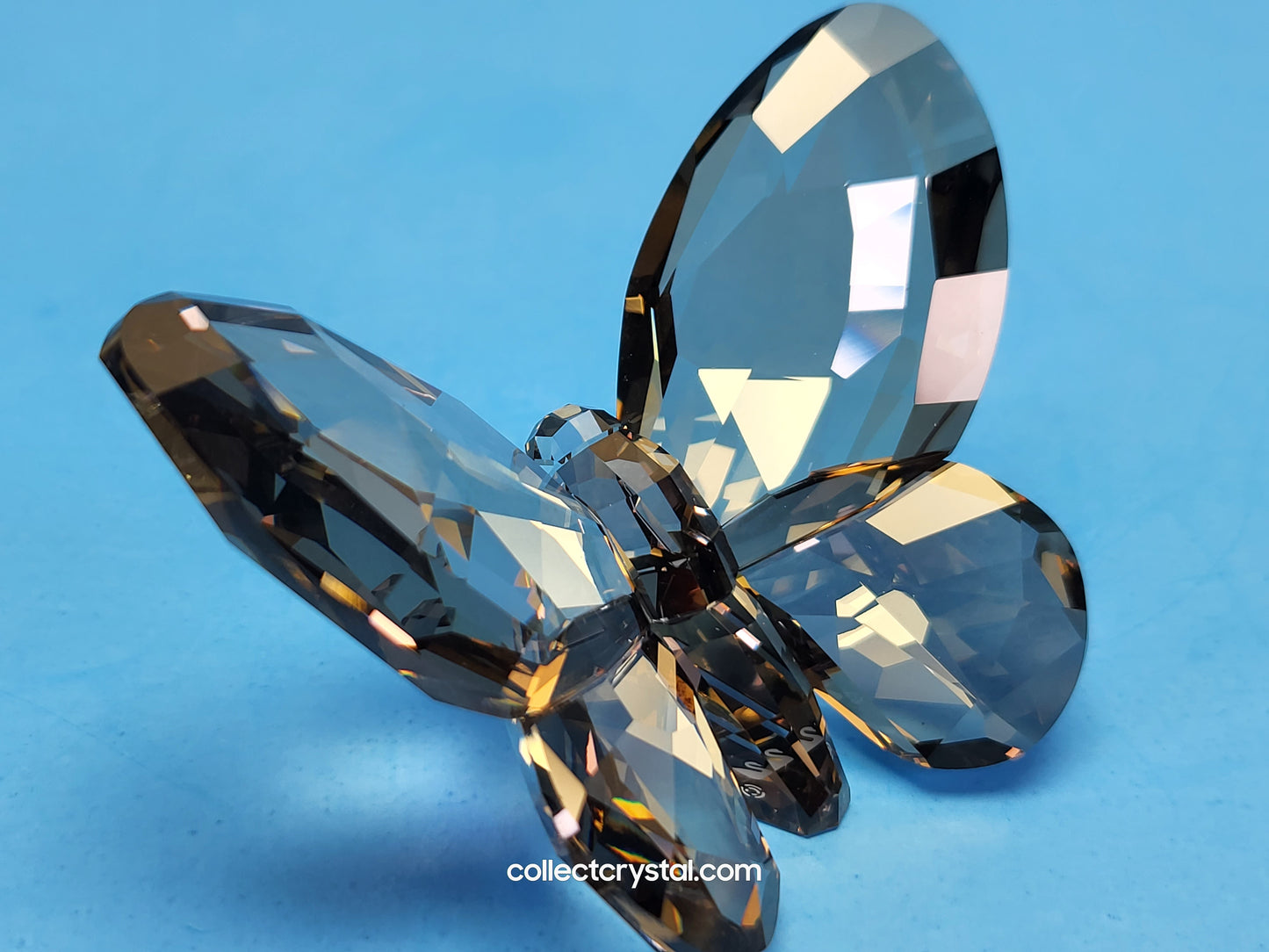 Butterfly SWAROVSKI SATIN Smoke Paradise Large Figurine 952727