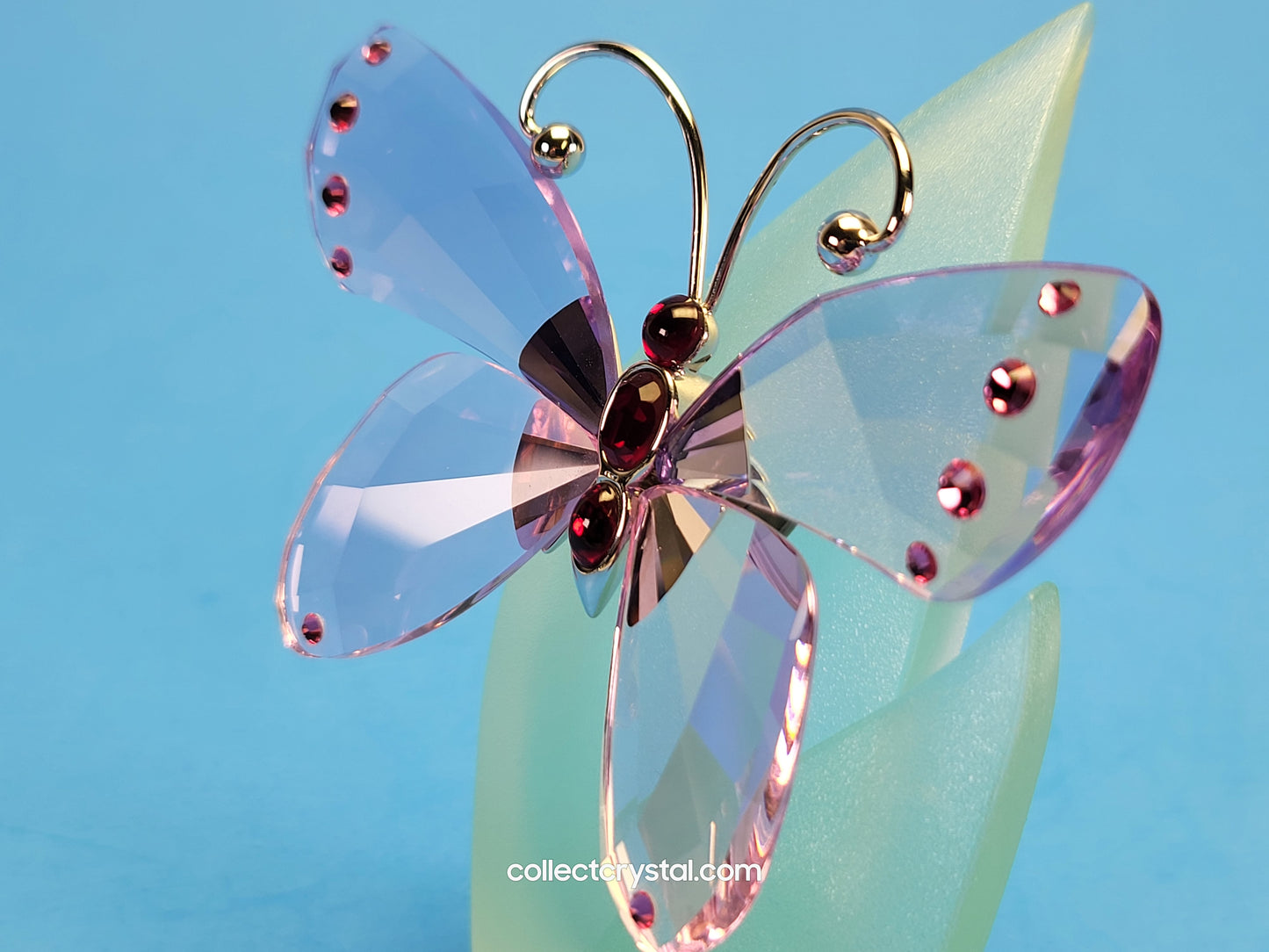 PARADISE BUGS OBJECT – BUTTERFLY ACARA VIOLET 719184