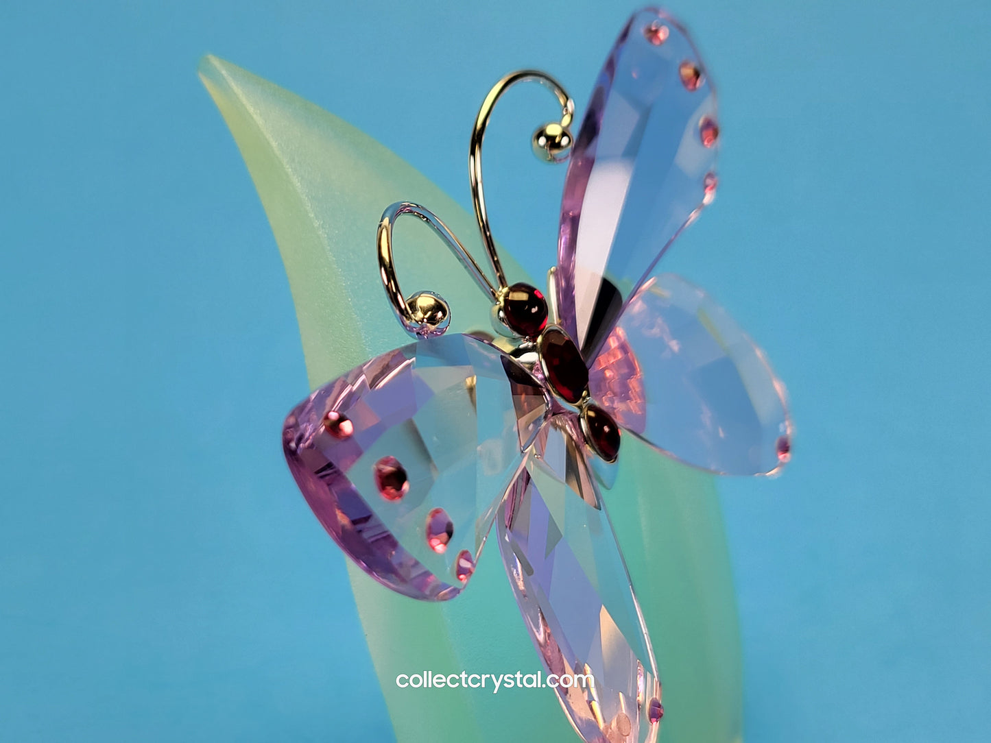 PARADISE BUGS OBJECT – BUTTERFLY ACARA VIOLET 719184
