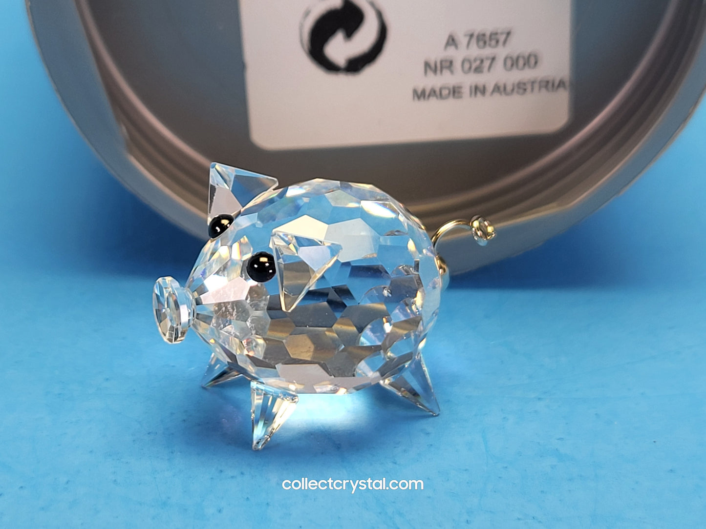 PIG MINI v1 wire tail 010028