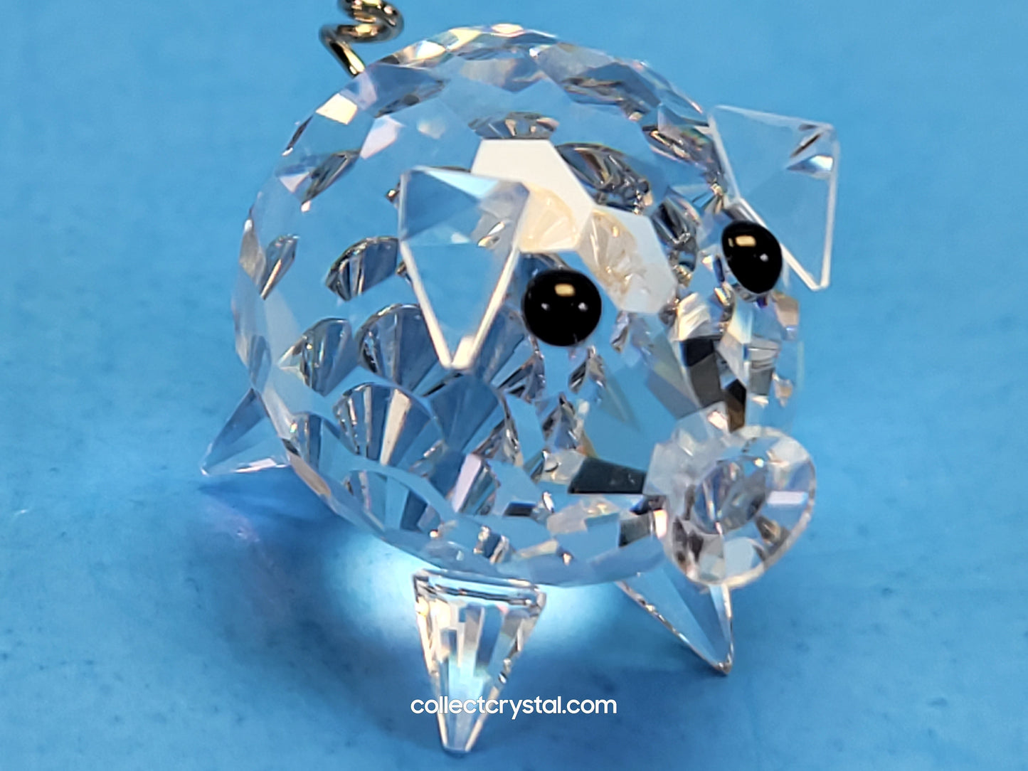PIG MINI v1 wire tail 010028
