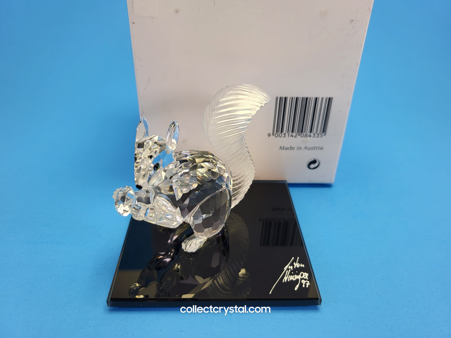 Anniversary SQUIRREL (10TH SCS ANNIVERSARY) 208433