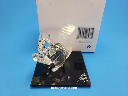 Anniversary SQUIRREL (10TH SCS ANNIVERSARY) 208433