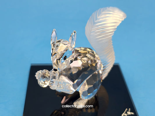 Anniversary SQUIRREL (10TH SCS ANNIVERSARY) 208433