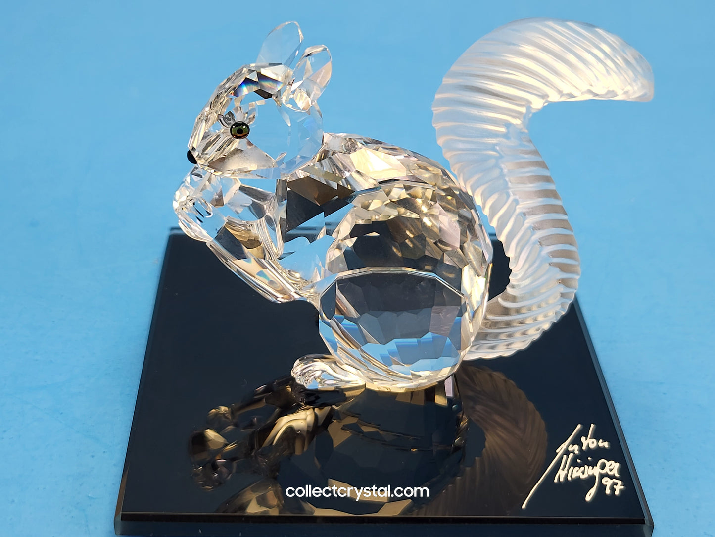 Anniversary SQUIRREL (10TH SCS ANNIVERSARY) 208433