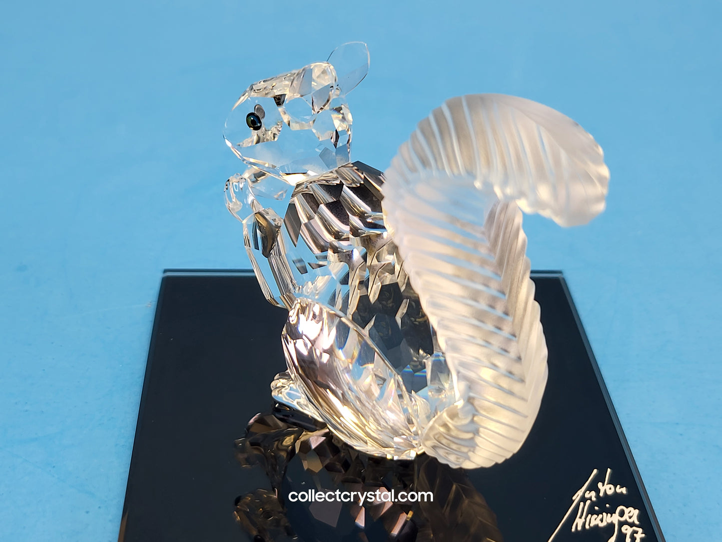 Anniversary SQUIRREL (10TH SCS ANNIVERSARY) 208433