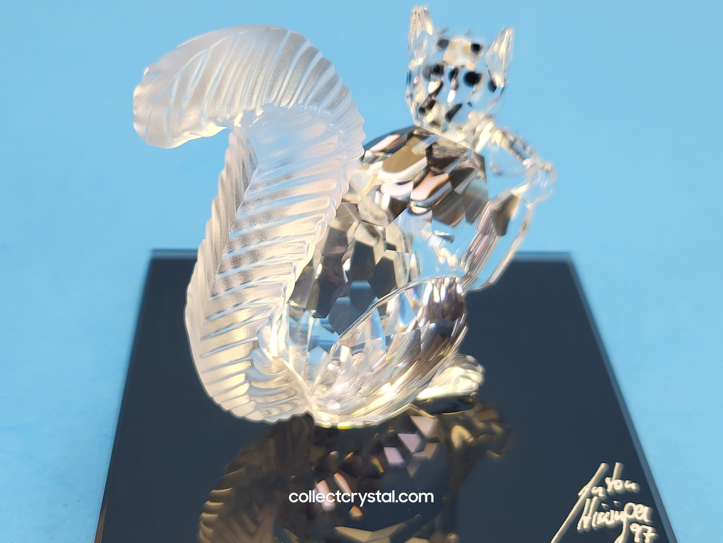 Anniversary SQUIRREL (10TH SCS ANNIVERSARY) 208433