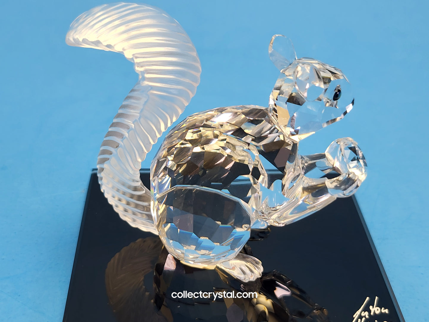 Anniversary SQUIRREL (10TH SCS ANNIVERSARY) 208433