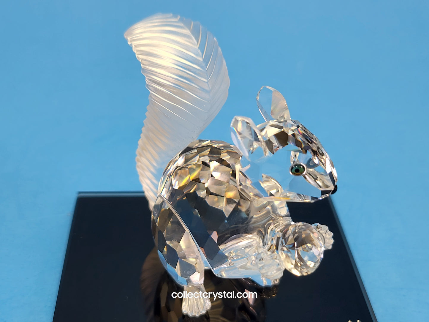 Anniversary SQUIRREL (10TH SCS ANNIVERSARY) 208433