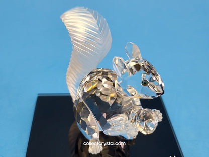 Anniversary SQUIRREL (10TH SCS ANNIVERSARY) 208433