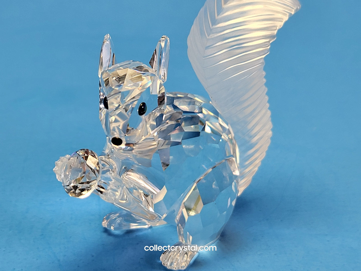 Anniversary SQUIRREL (10TH SCS ANNIVERSARY) 208433