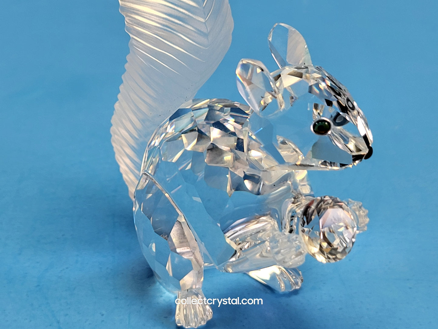 Anniversary SQUIRREL (10TH SCS ANNIVERSARY) 208433