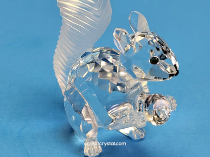 Anniversary SQUIRREL (10TH SCS ANNIVERSARY) 208433
