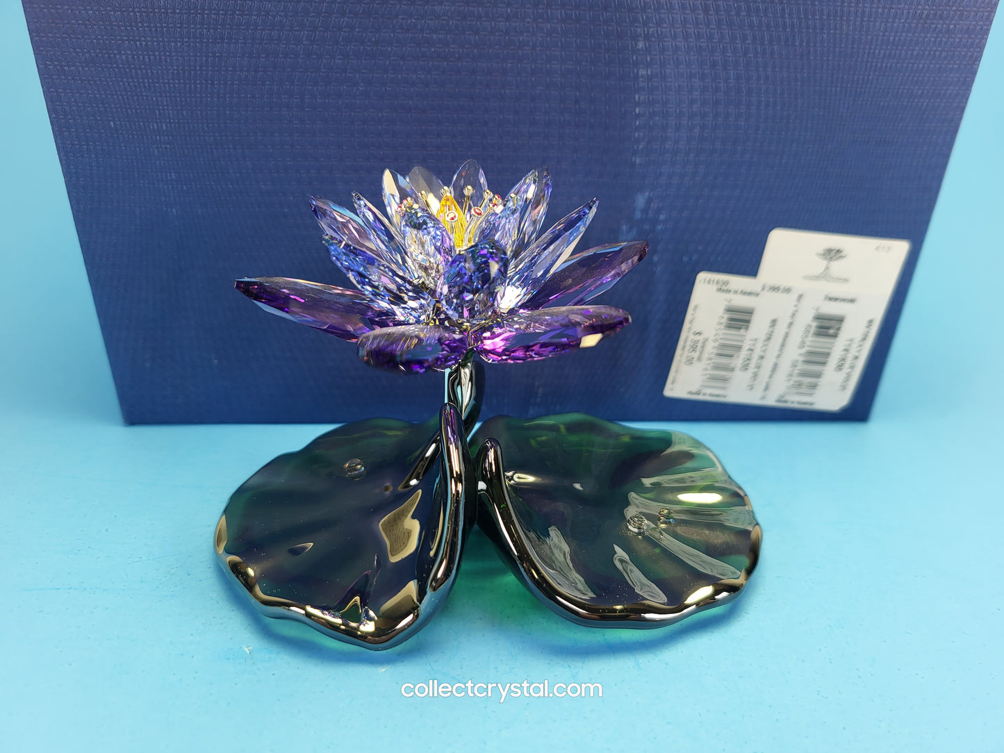 Water Lily Flower PARADISE FLOWERS – WATERLILY BLUE VIOLET 1141630
