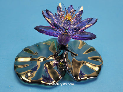 Water Lily Flower PARADISE FLOWERS – WATERLILY BLUE VIOLET 1141630