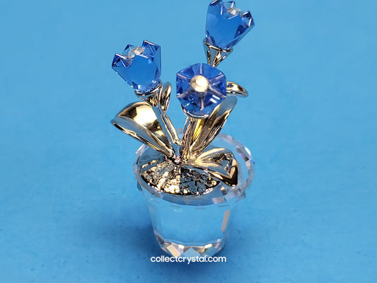 MEMORIES – FORGET-ME-NOTS / FORGET ME NOTS 626873