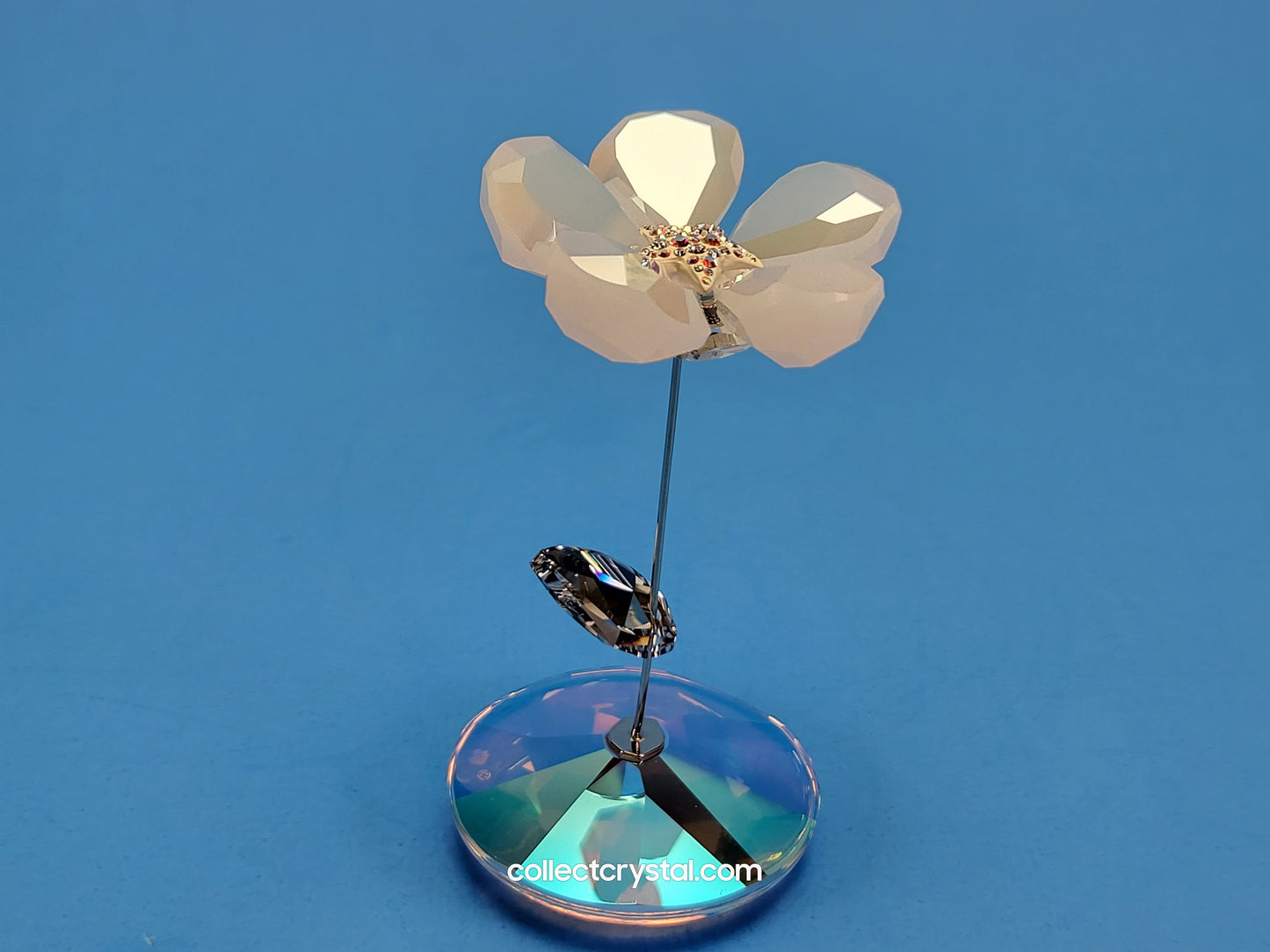 ROCKING FLOWER – JACKY 1048714