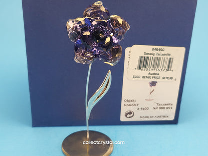 PARADISE FLOWERS – DARANY TANZANITE 848450