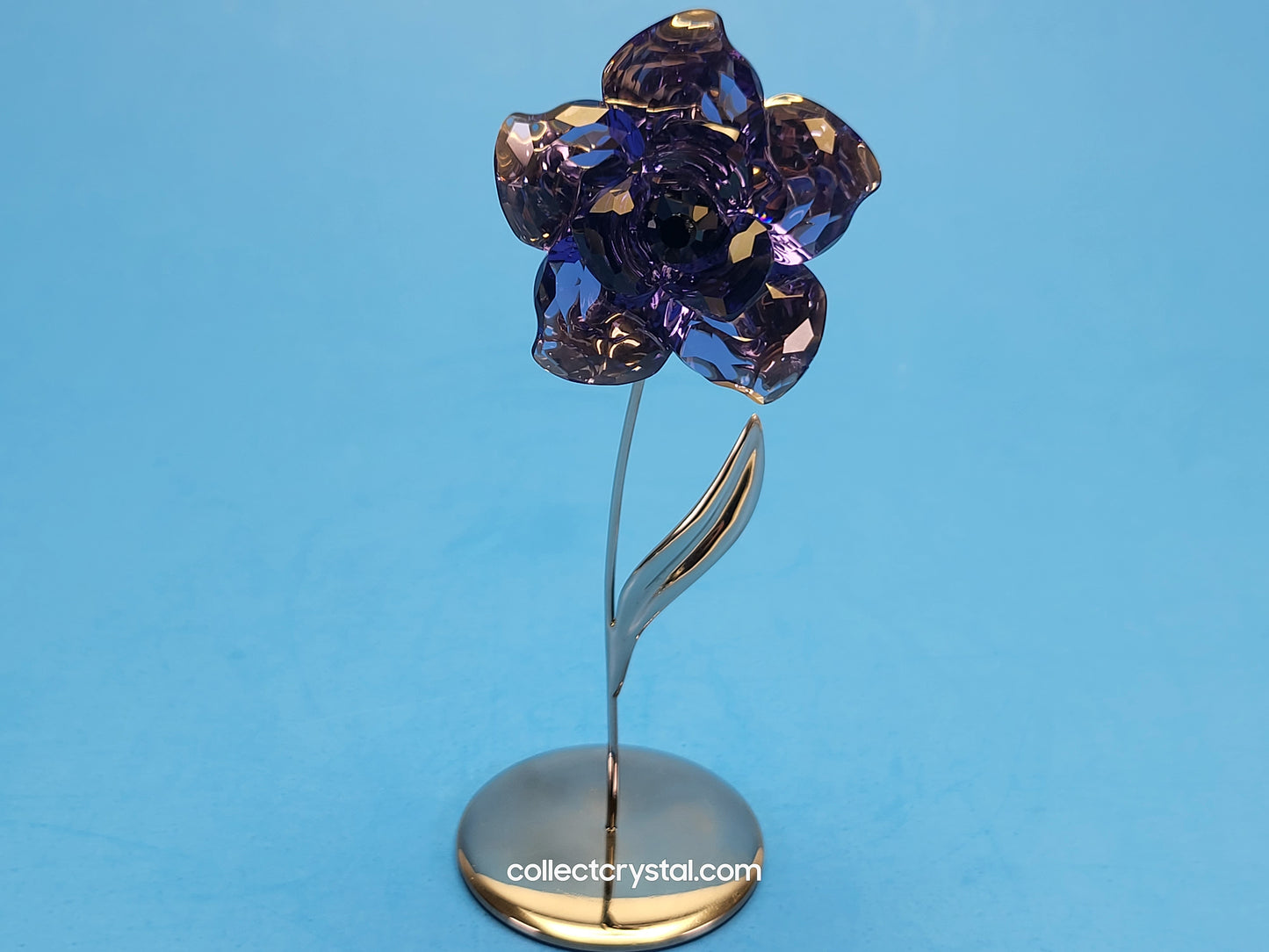 PARADISE FLOWERS – DARANY TANZANITE 848450