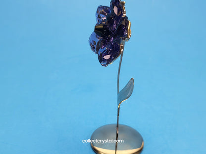 PARADISE FLOWERS – DARANY TANZANITE 848450