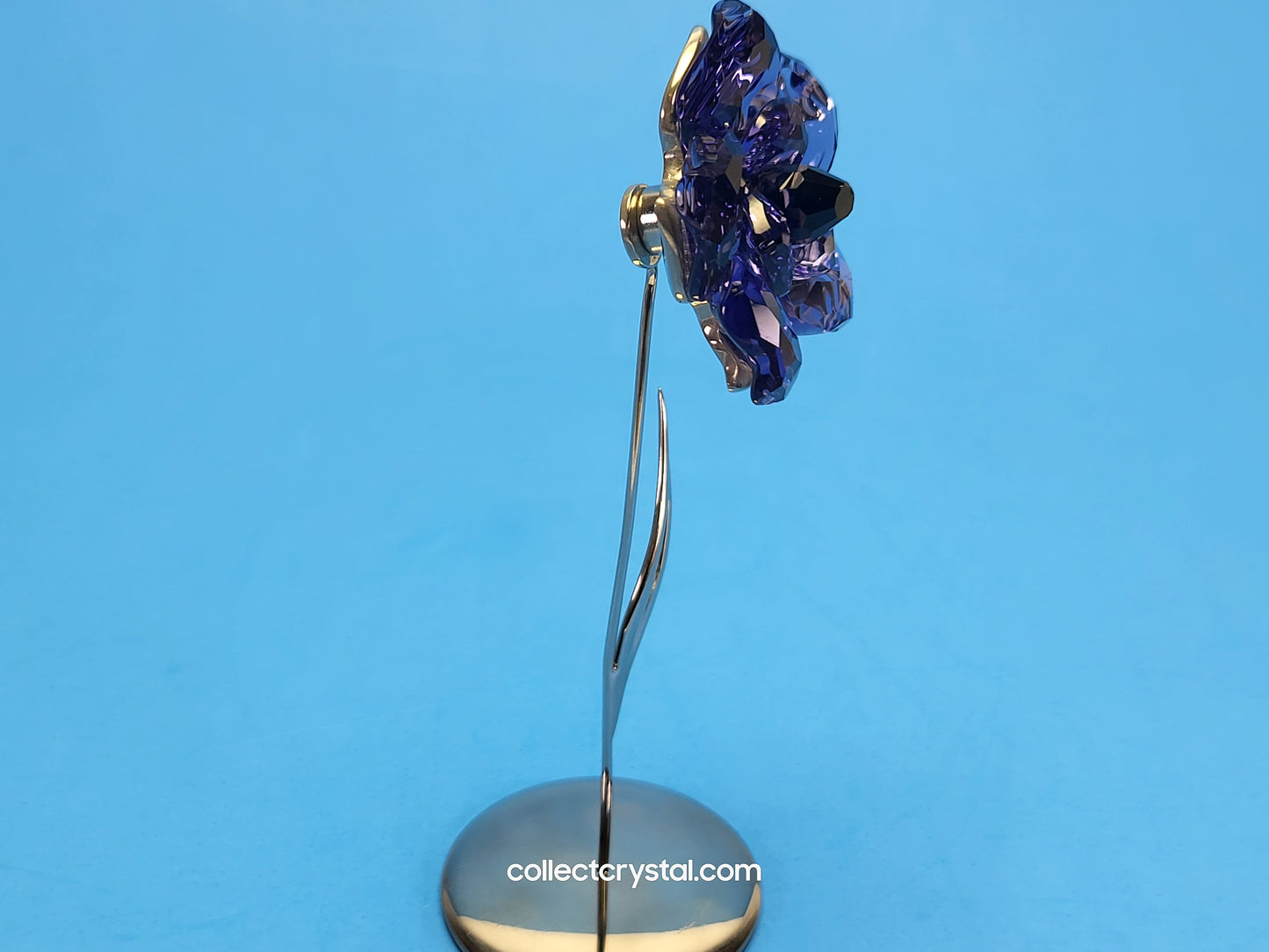 PARADISE FLOWERS – DARANY TANZANITE 848450