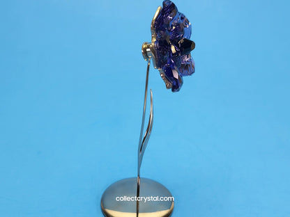 PARADISE FLOWERS – DARANY TANZANITE 848450