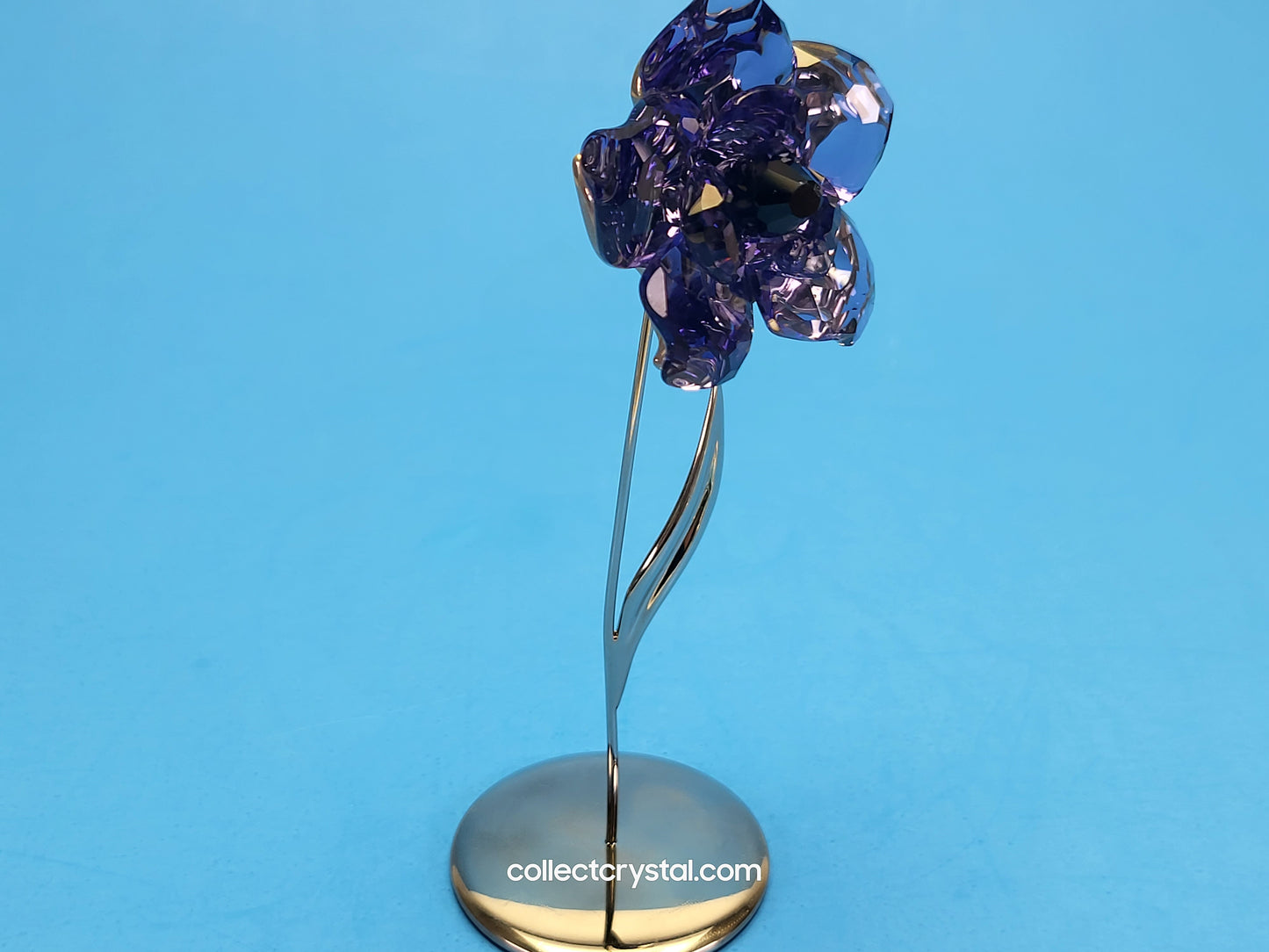 PARADISE FLOWERS – DARANY TANZANITE 848450