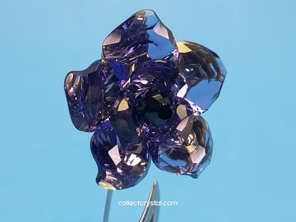 PARADISE FLOWERS – DARANY TANZANITE 848450
