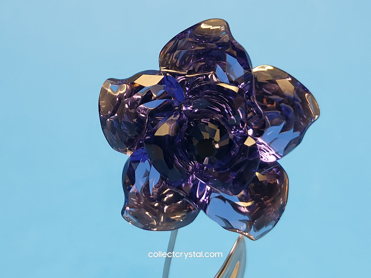 PARADISE FLOWERS – DARANY TANZANITE 848450