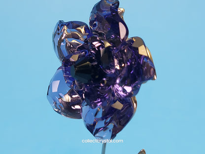 PARADISE FLOWERS – DARANY TANZANITE 848450