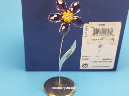 Paradise Deoli Purple Amethyst flower # 677619 mib