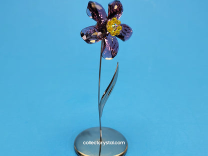 Paradise Deoli Purple Amethyst flower # 677619 mib