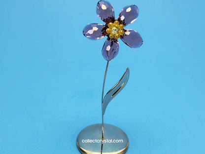Paradise Deoli Purple Amethyst flower # 677619 mib