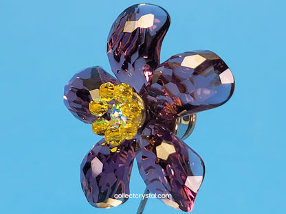 Paradise Deoli Purple Amethyst flower # 677619 mib