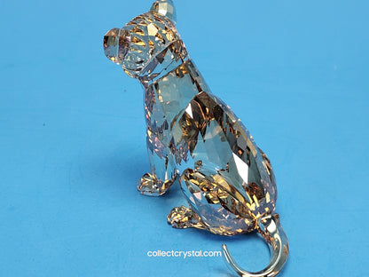 LION Cub 5135896 SCS 2016 lion cub