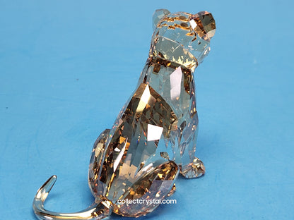 LION Cub 5135896 SCS 2016 lion cub