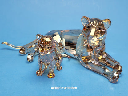 LION Cub 5135896 SCS 2016 lion cub