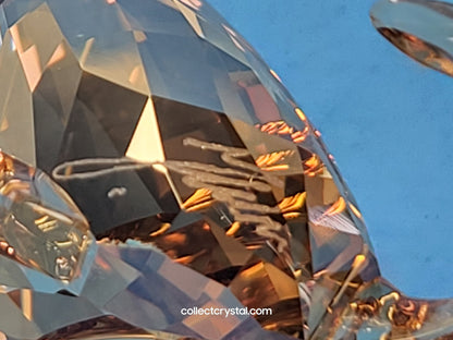 LION Cub 5135896 SCS 2016 lion cub