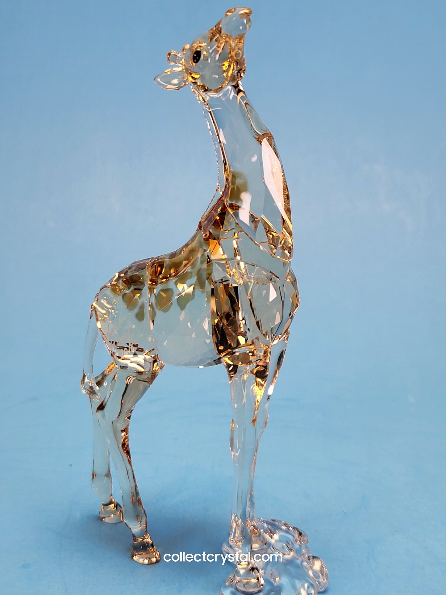 MUDIWA GIRAFFE Companion Baby 2018 Annual Edition 530215 giraffe