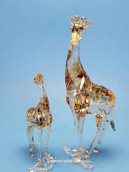 MUDIWA GIRAFFE Companion Baby 2018 Annual Edition 530215 giraffe