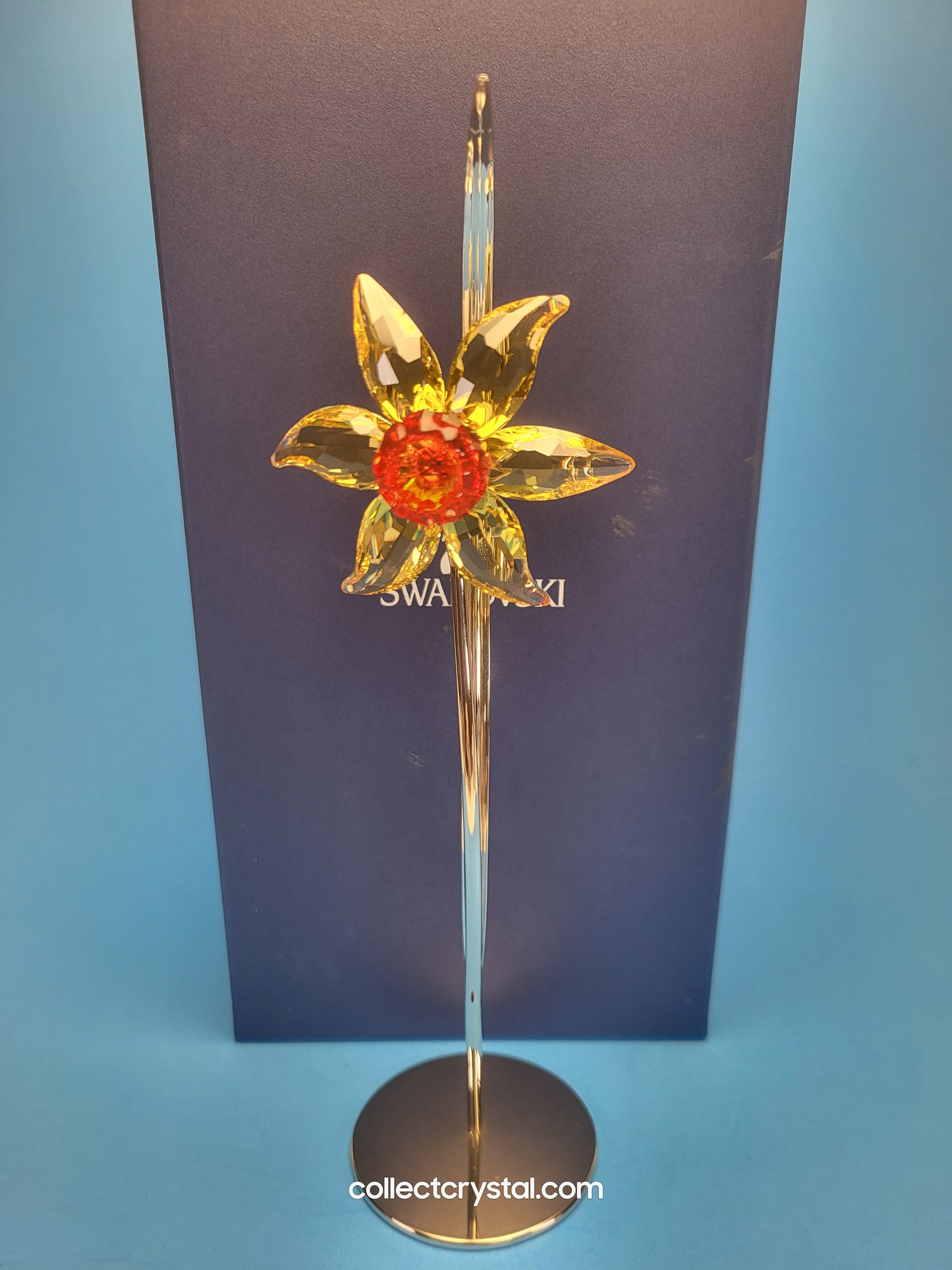 PARADISE FLOWERS – DACALI LIGHT TOPAZ 848448
