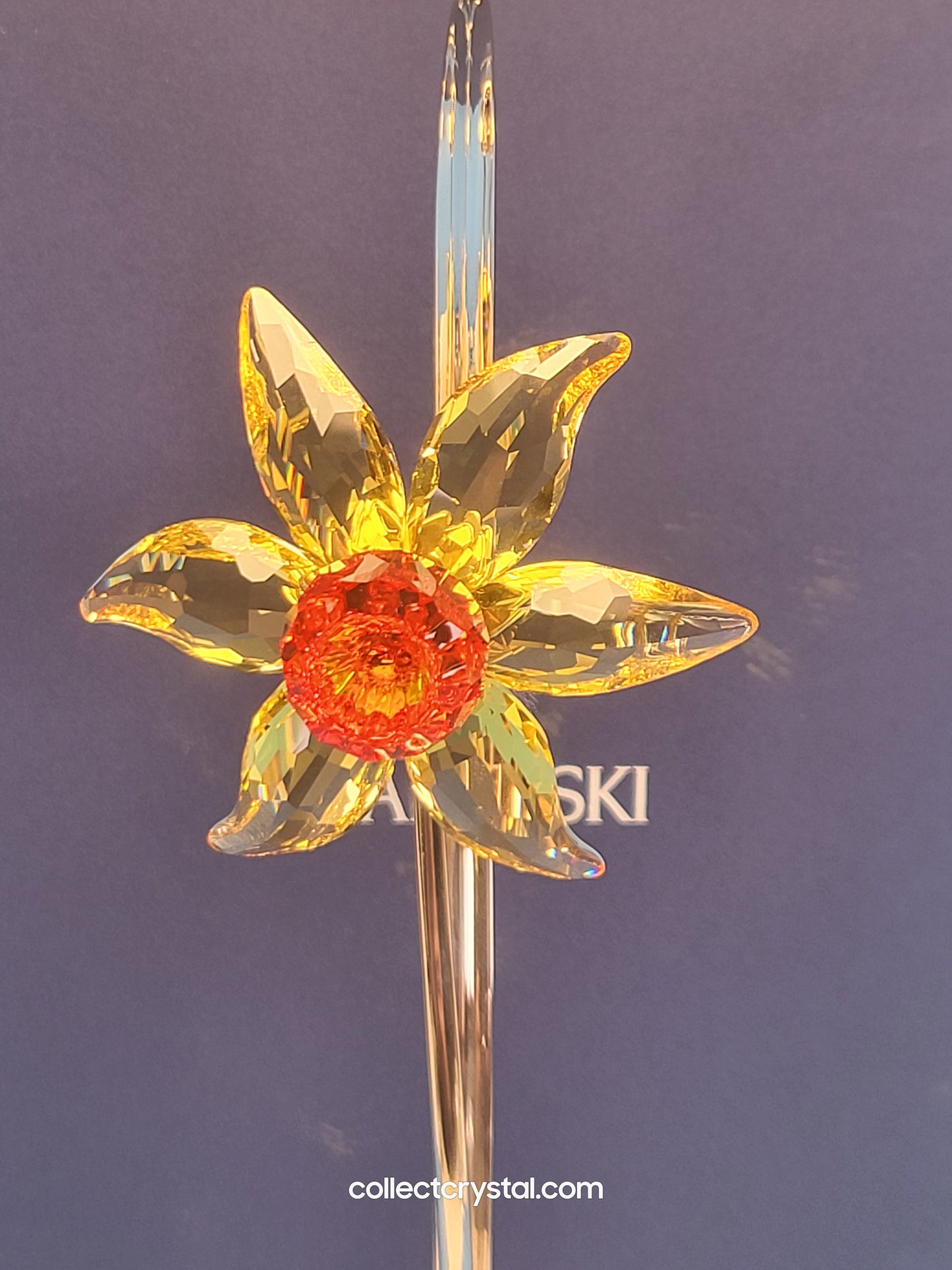 PARADISE FLOWERS – DACALI LIGHT TOPAZ 848448