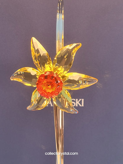 PARADISE FLOWERS – DACALI LIGHT TOPAZ 848448